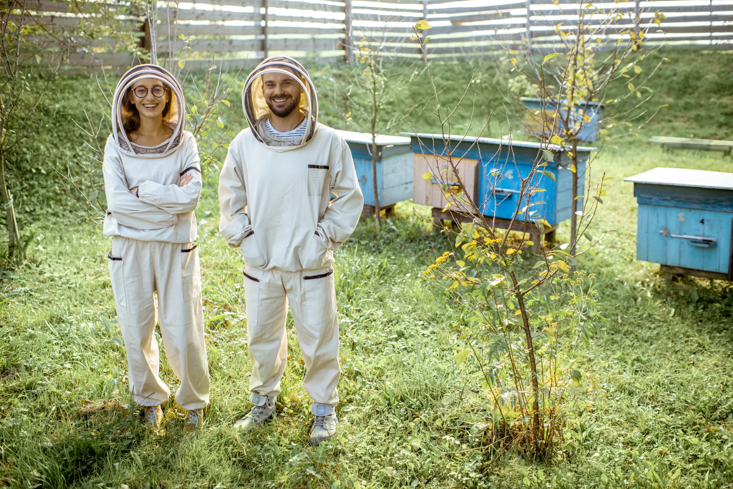 Two beekeeper in protective beekeeping suits standing in a lush green apiary with multiple beehives.