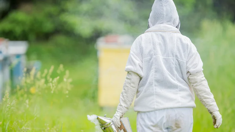 A beekeeper working in a field wearing white ventilated beekeeping suits