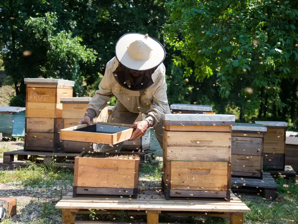 best beekeeping hat with veil