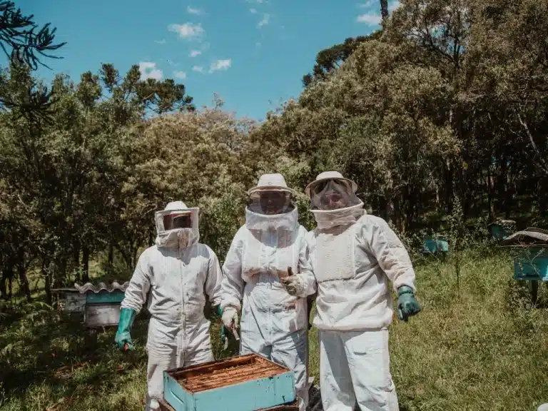 The Top 5 Beekeeping Suits