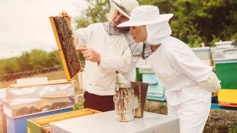 The Top 5 Beekeeping Suits For 2022