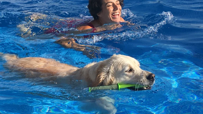 A dog and a woman swimming together in a pool (Dog Swimming Lessons)