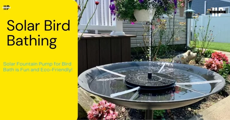 solar fountain pump for bird bath