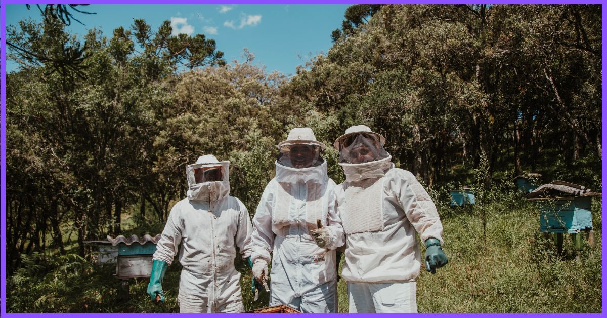 Three beekeepers, fully protected in 3-layer vented suits, tending to beehives in a forest beekeeping field