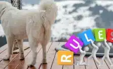 A white dog stands on a wooden deck with colorful letters spelling “RULES” and a mountainous background. (Hot tub rules for guests)