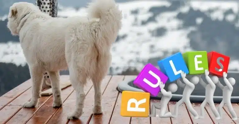 A white dog stands on a wooden deck with colorful letters spelling “RULES” and a mountainous background. (Hot tub rules for guests)