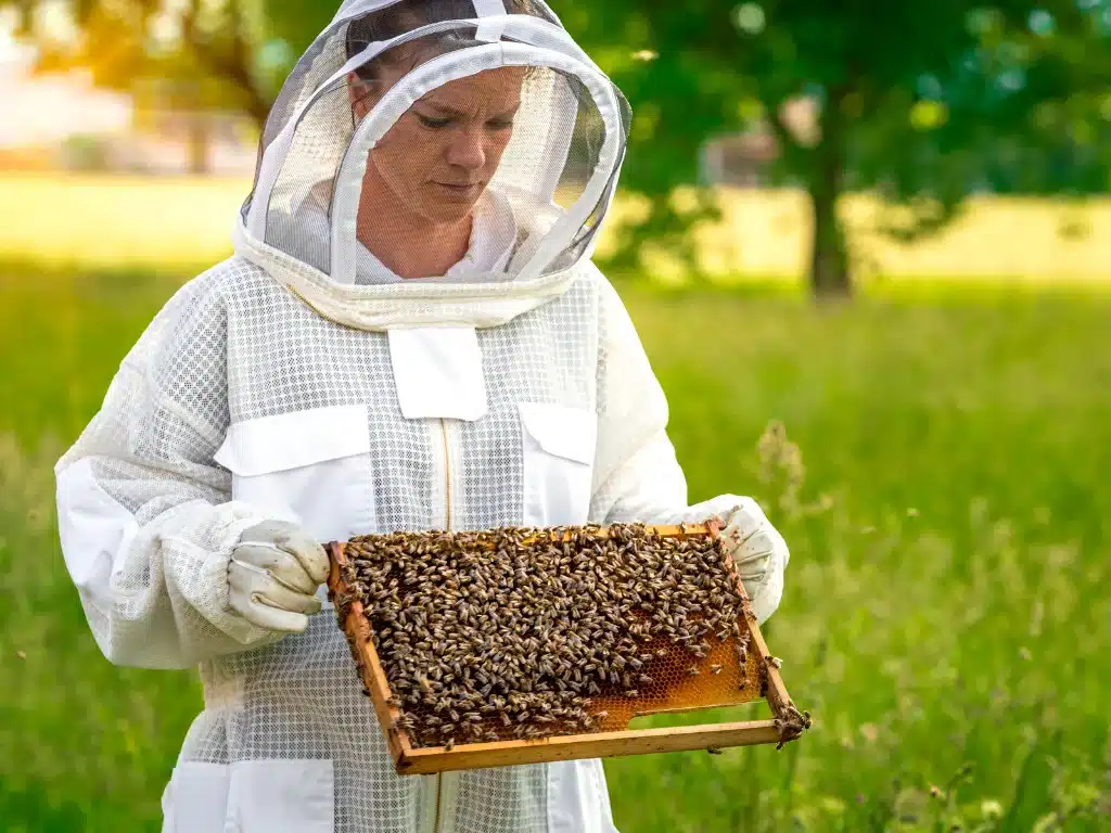 A beekeeper wearing Bee Proof 3-Layer Beekeeping Suit