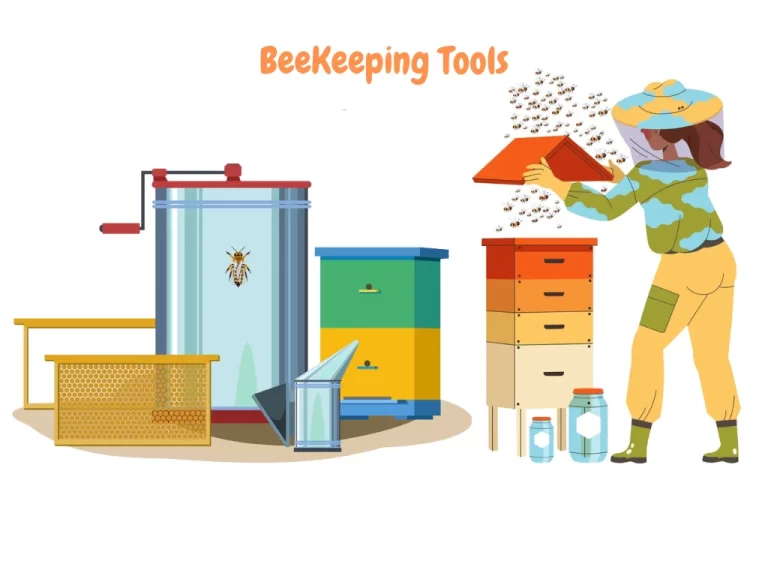 Beekeeping Equipment