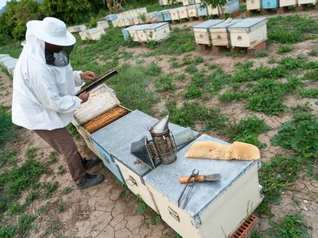 Do Beekeepers Live Longer