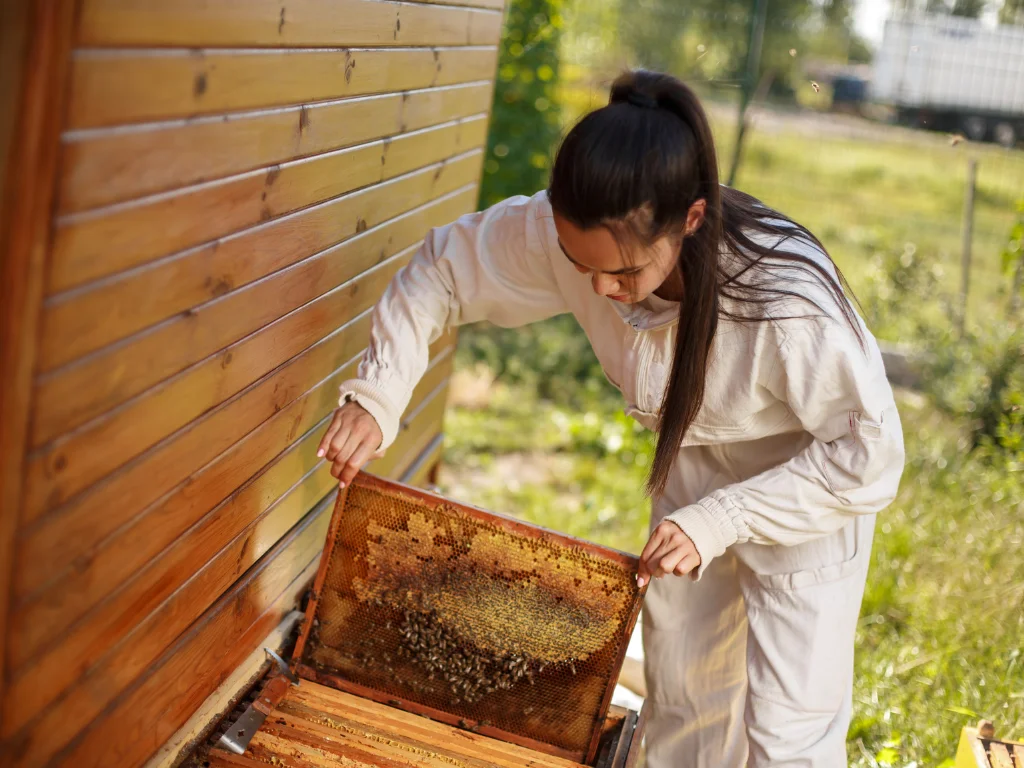 what is beekeeping