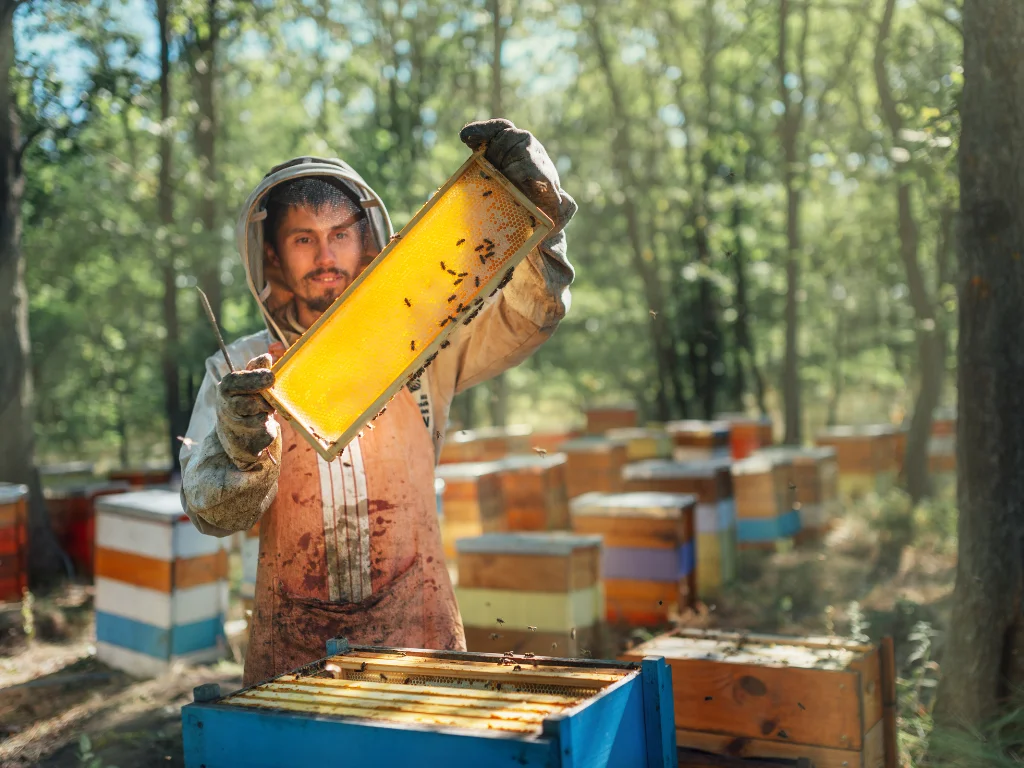 what is beekeeping