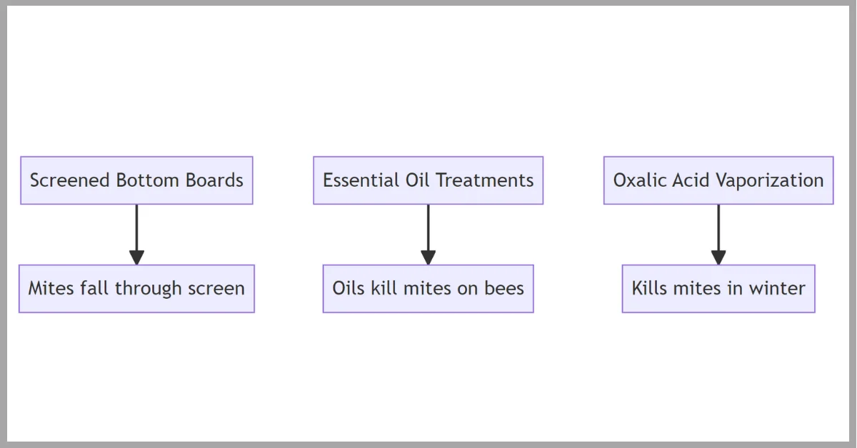 A diagram show mite treatment for bees