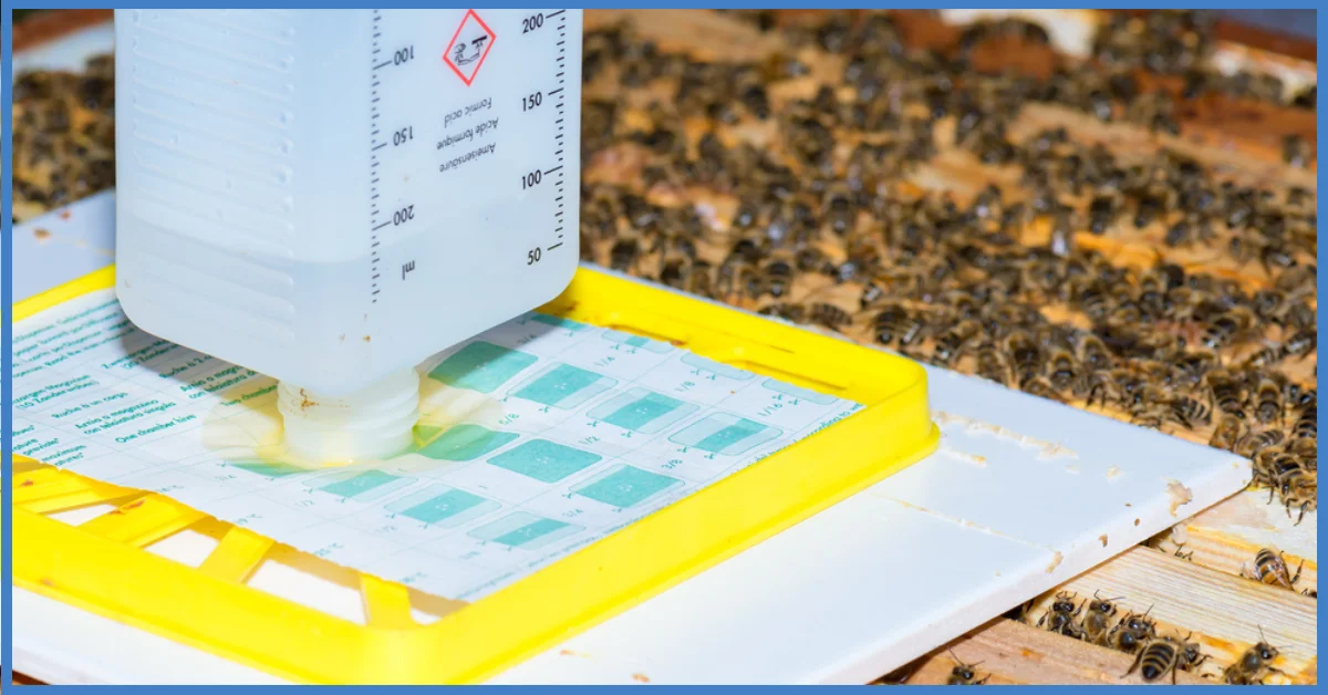 A photo of a plastic container with a yellow lid that is used to measure the number of varroa mites in a beehive. The container is filled with alcohol and has a mesh screen on the bottom. 