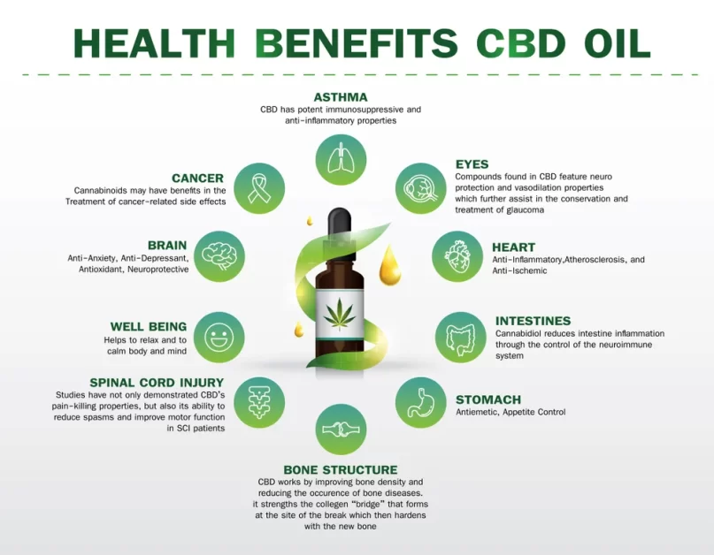 An infographic explaining the health benefits of CBD oil. (does cbd oil expire)