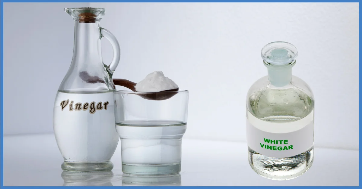 A photo of two bottles of distilled white vinegar, one with a label and one without, on a wooden table. There is also a glass of water with a spoonful of vinegar in it next to the bottles.