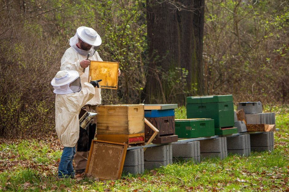 A beekeeper and her kid working together in beekeeping field wearing bee jacket