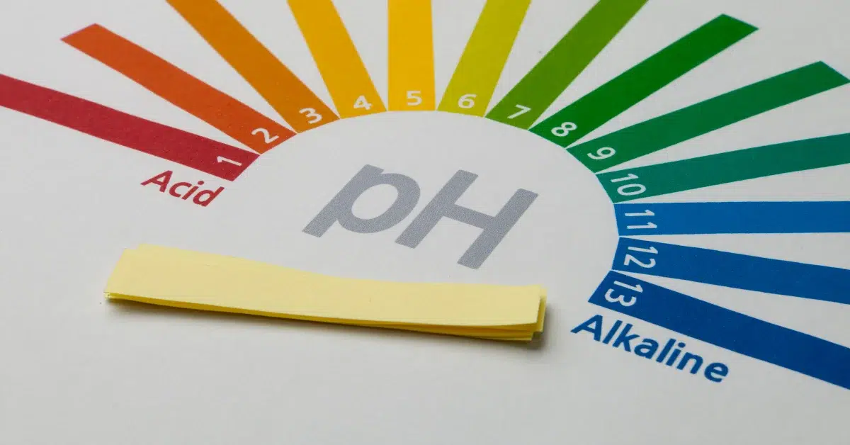 A hot tub water alkalinity testing scale with strips.