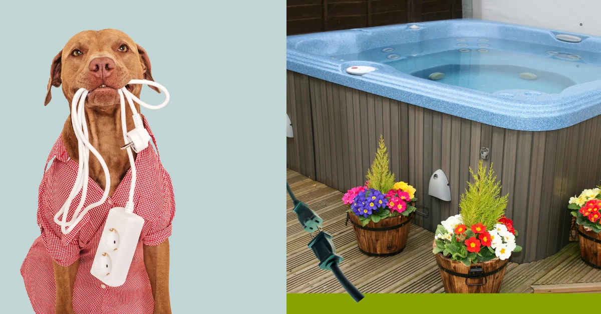 A dog taking a extension cord in her mouth and the other side a hot tub with flowers