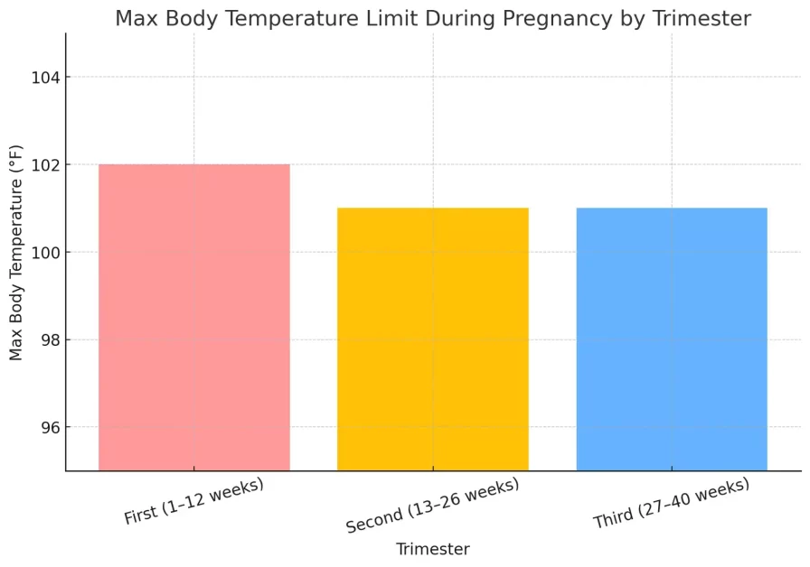 Bar chart showing max body temperature limits during pregnancy by trimester: 102°F in the first, 101°F in the second and third, with hot tub use discouraged or limited to prevent health risks.